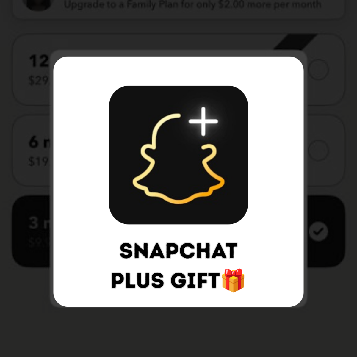 Snapchat Plus (Gift) — جميع المنتجات